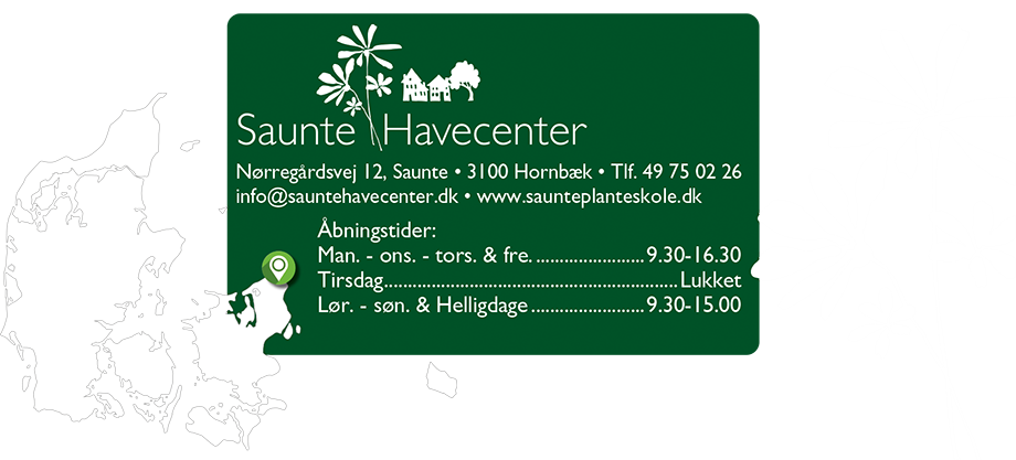 Havecenter Nordsjælland, Hornbæk, Gilleleje - Saunte Planter &